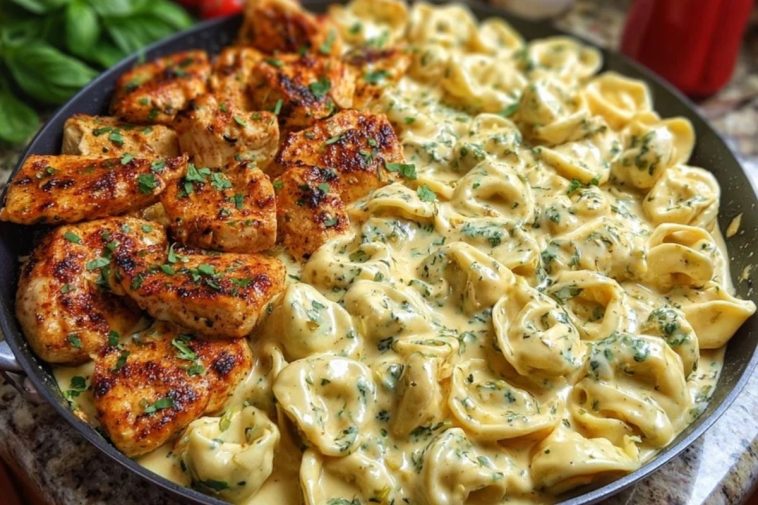 Easy Creamy Velveeta Chicken Tortellini with Mozzarella Garlic Sauce One-Pot Dinner