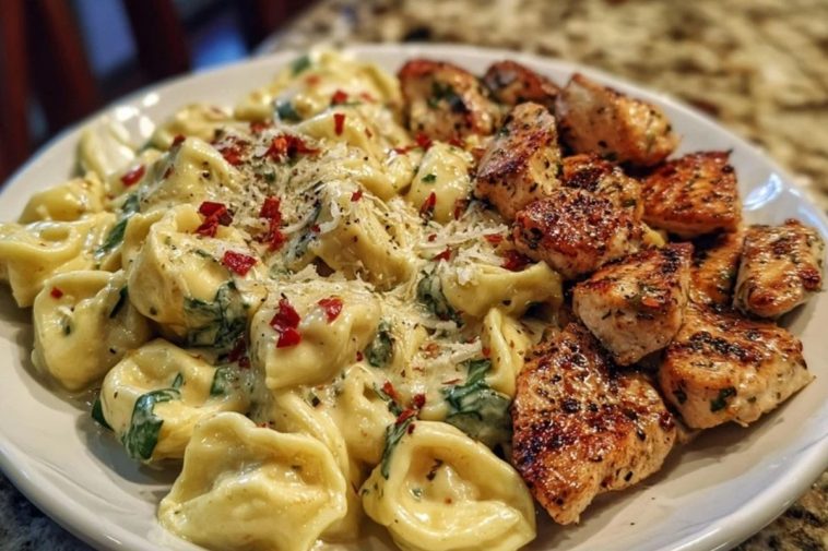 Spicy Garlic Chicken Tortellini in Cheesy Alfredo Cream