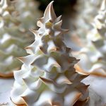 Tree Meringue Cookies