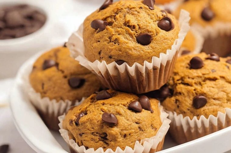 Chocolate Chip Coffee Muffins
