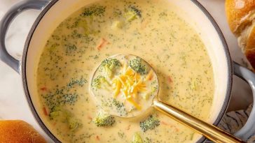 Panera Broccoli Cheddar Soup